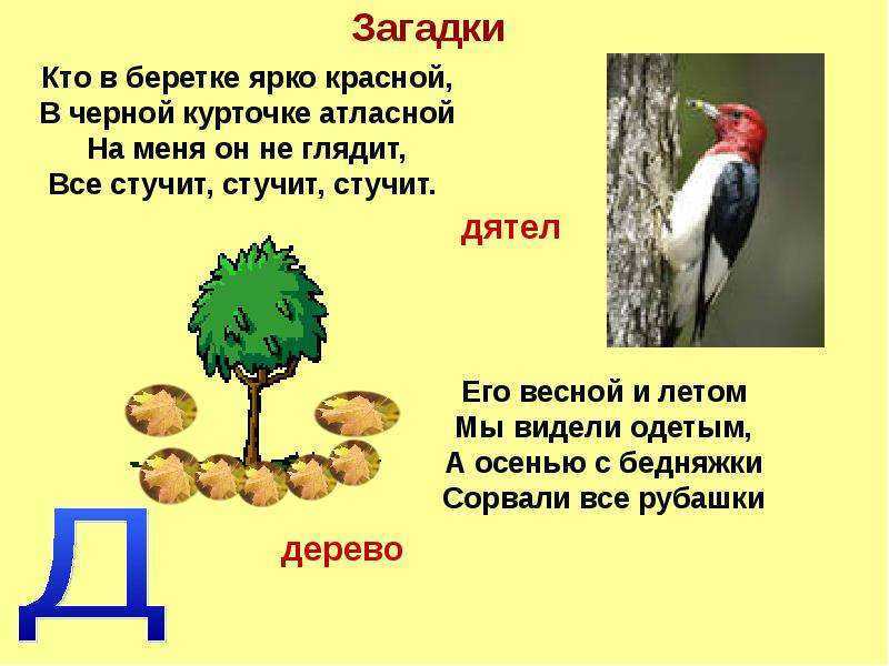 95 интересных загадок с ответом на букву Д Буква Д - звонкая по звучанию Можно написать большую печатную и маленькую прописную Читаем загадки про букву Д