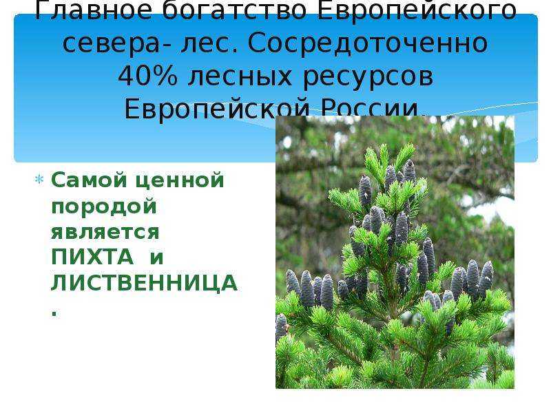 География кольско-карельского и двинско-печорского районов