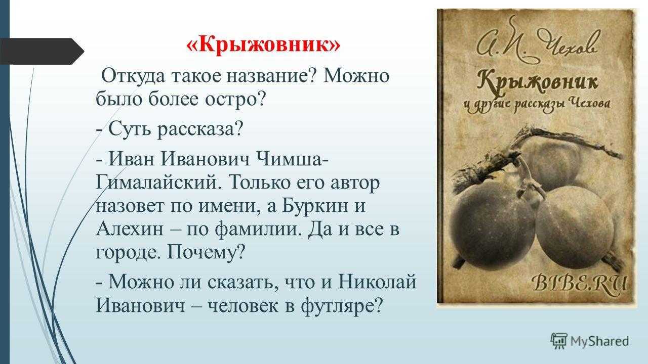 Мечта и реальность (крыжовник)