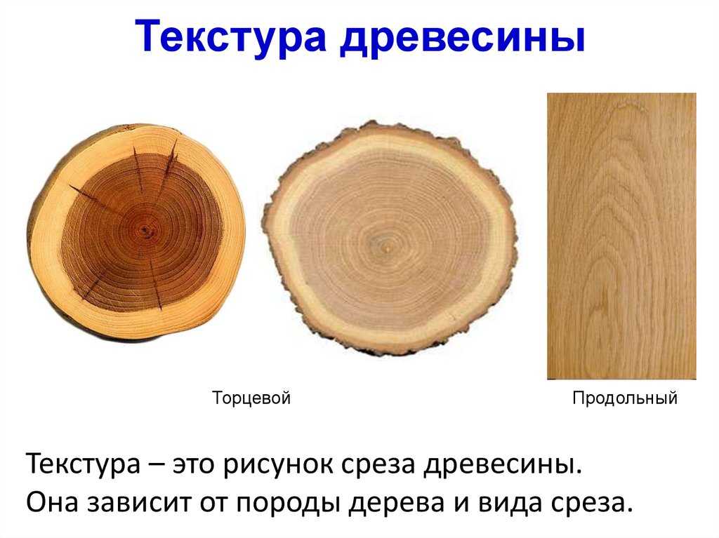 § 21. древесина как природный конструкционный материал