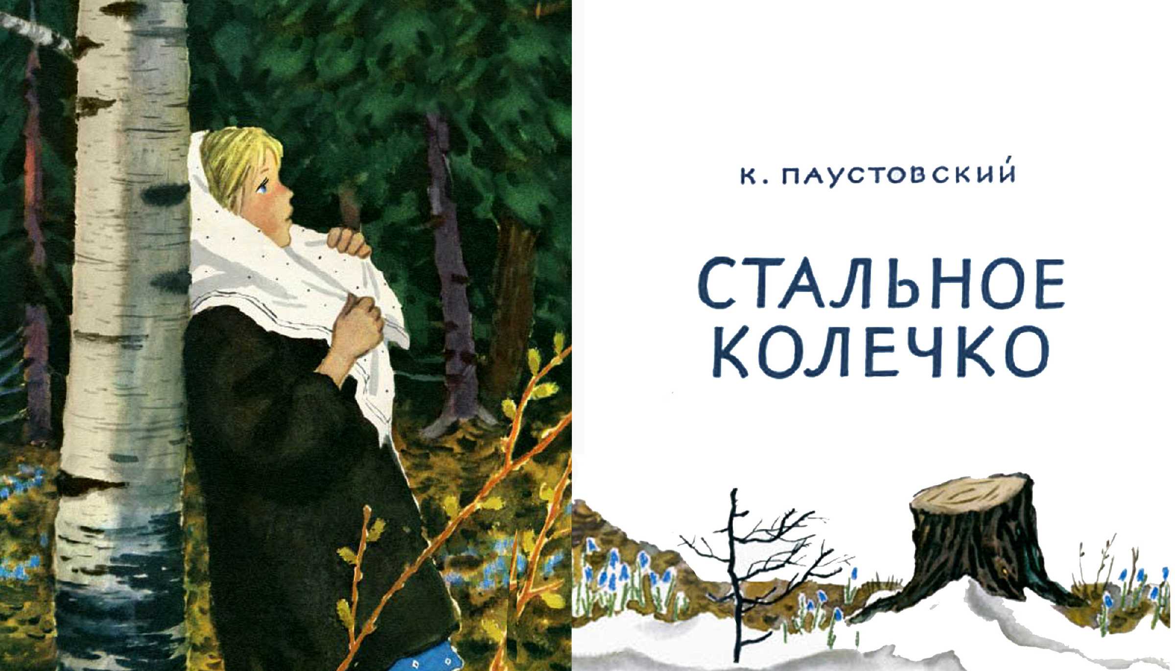 Паустовский «стальное колечко» читать полностью весь текст
