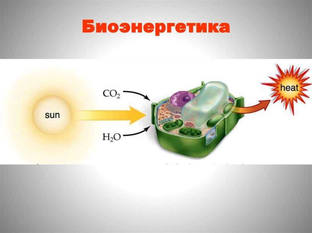 Нетрадиционные  источники энергии: определение, примеры