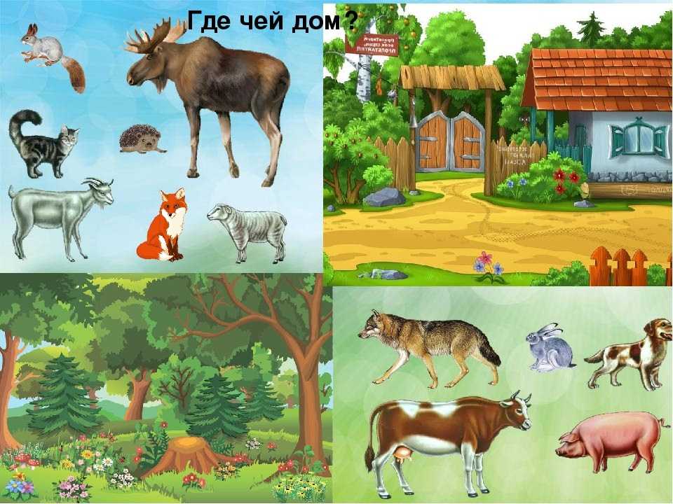 Детские картинки с животными для детей, развивающие карточки, мемори и лото для дома и детского сада