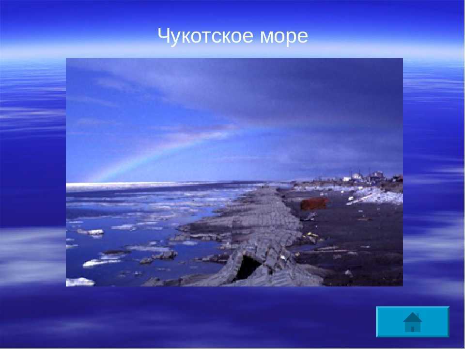 Биологические и минеральные ресурсы чукотского моря