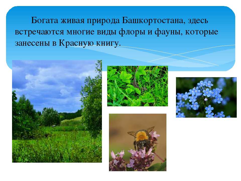 Башкирия. география, достопримечательности, туризм