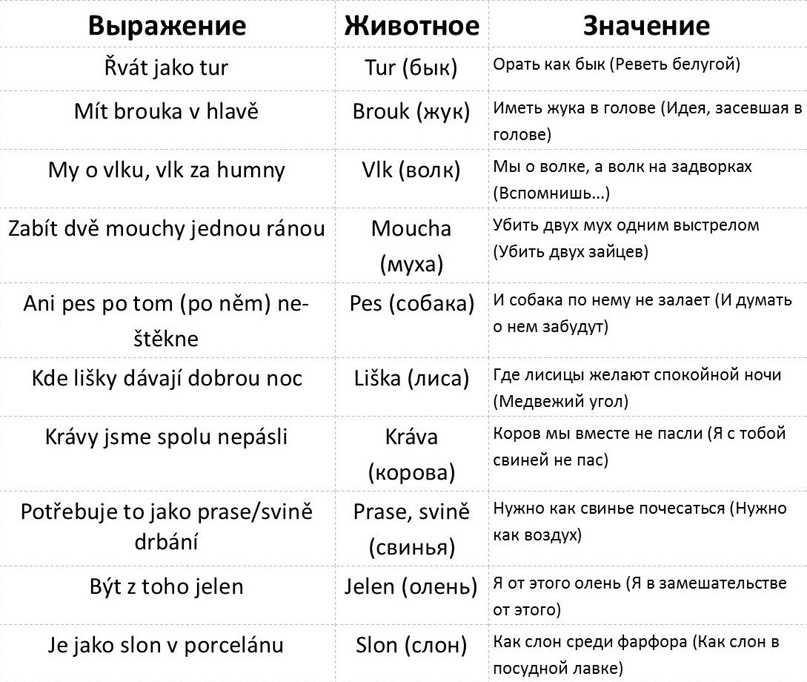 Женские имена на французском языке с переводом. французские фамилии