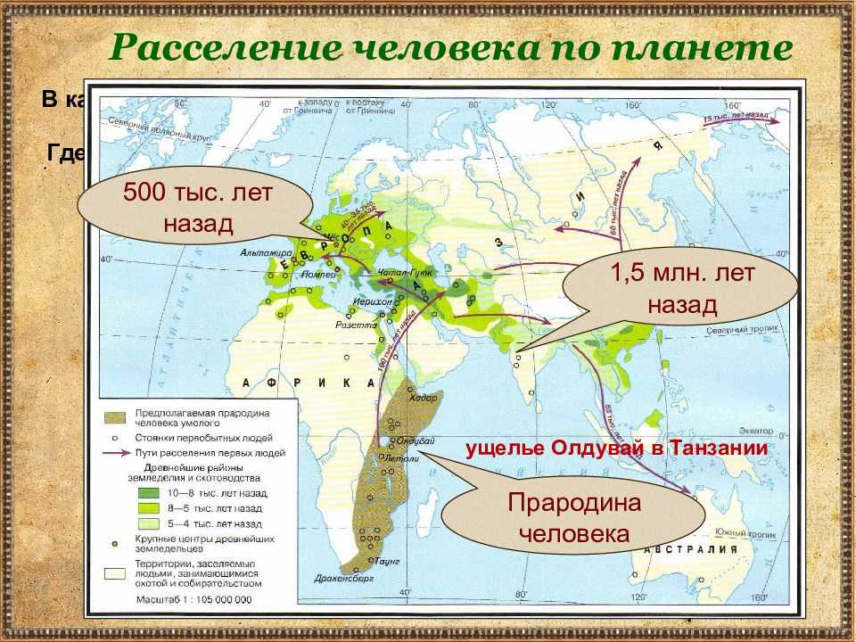 Как происходило освоение земли человеком: история и этапы заселения территории земного шара