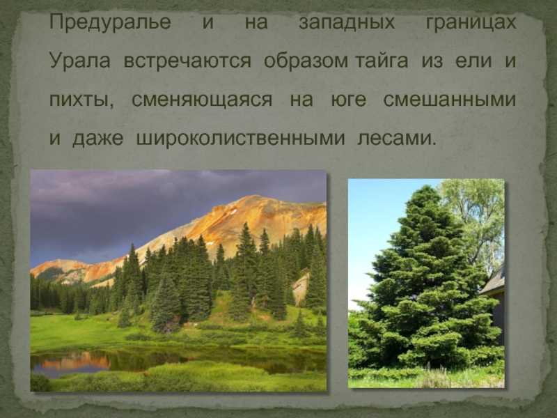 Доклад на тему уральские горы сообщение
