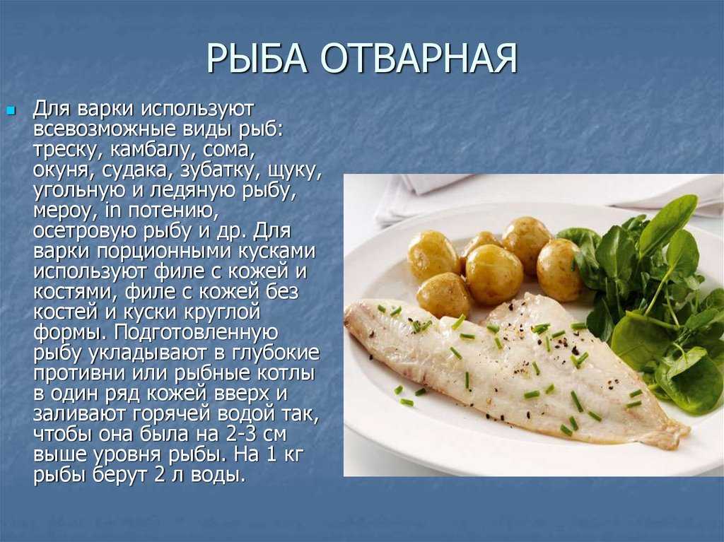 Классификация технологии приготовления блюд из рыбы