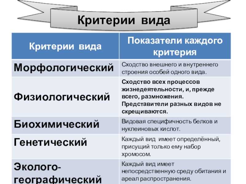 Вид⭐️: определение, его основные критерии в биологии и особенности