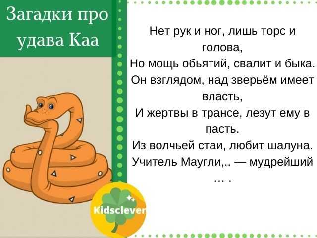 Загадки о рисовании, альбомах и красках для детей