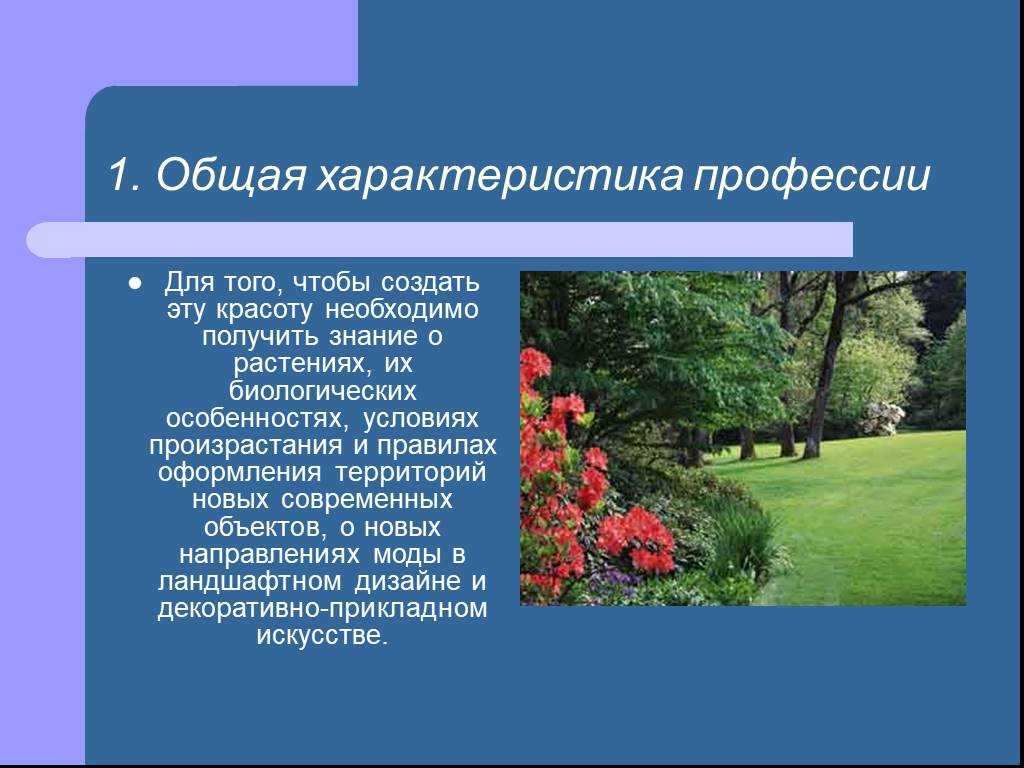 Про профессии для детей (подготовка к впр по окружающему миру)