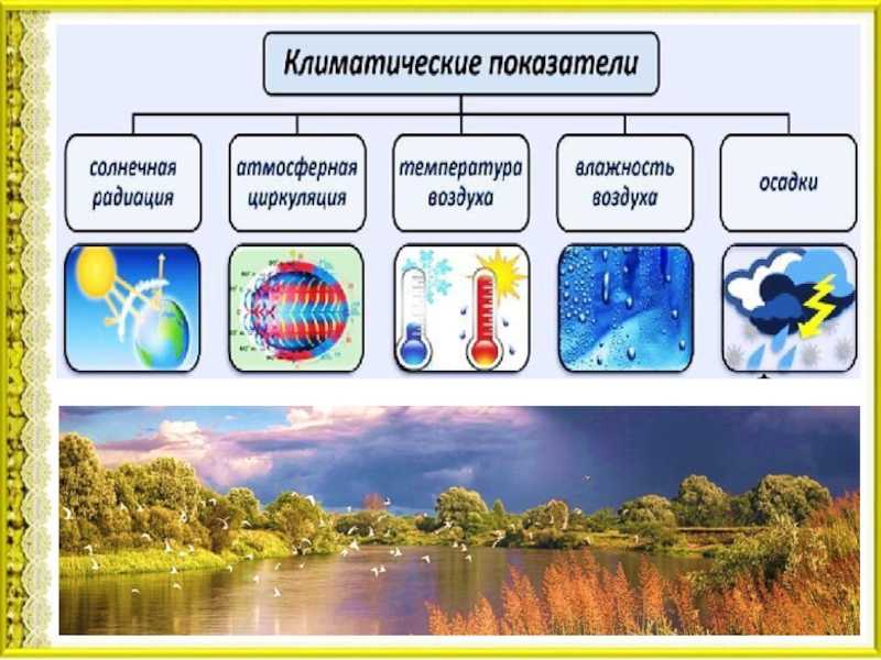 Климат беларуси, какая погода и климат рб | justarrived.by