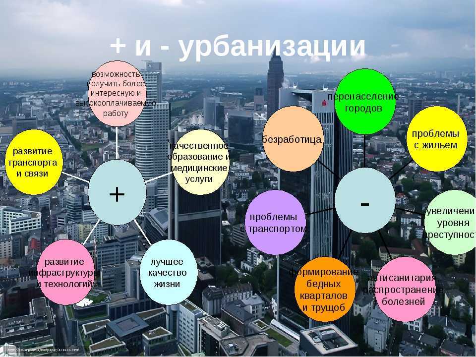 Урбоэкология экосистемы мегаполисов: проблемы и цели