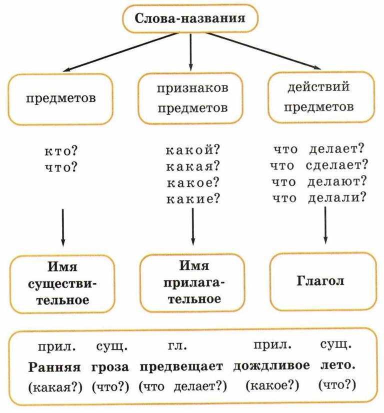Грамматические признаки частей речи