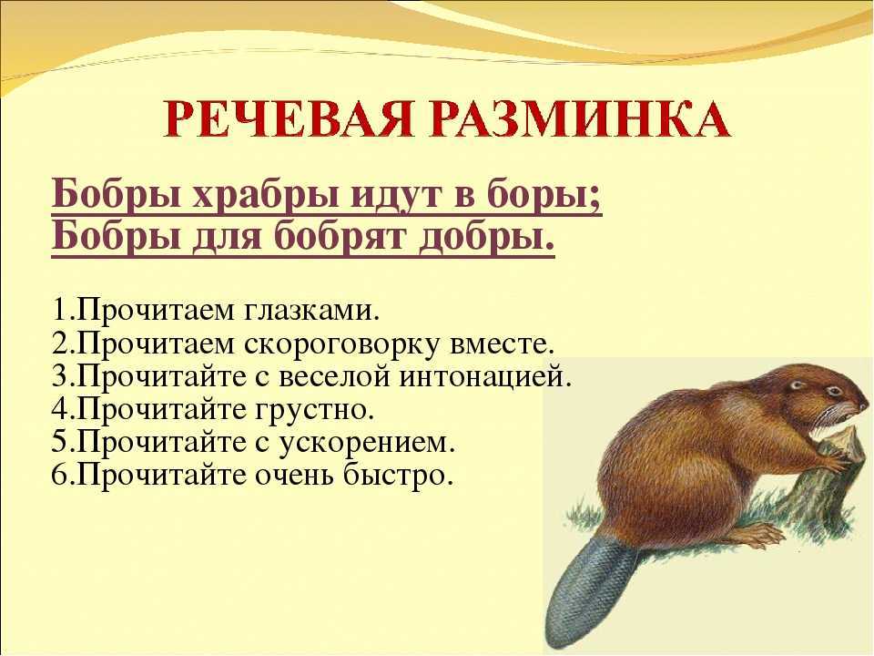 Загадки про животных с ответами для 2-3 класса