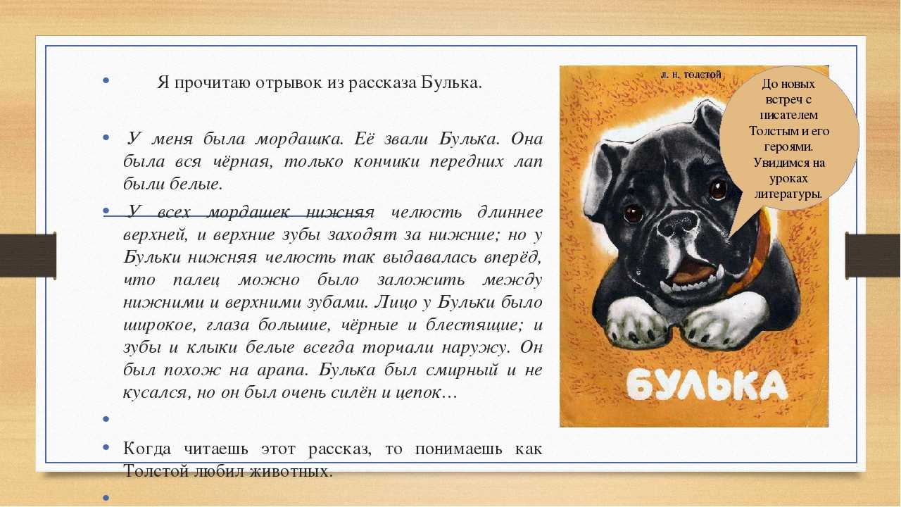 Булька - сказки льва толстого: читать с картинками, иллюстрациями - сказка dy9.ru