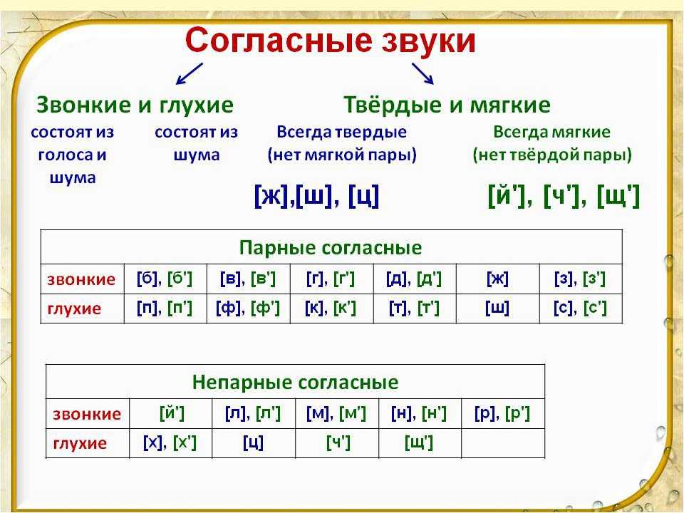 Глухие согласные звуки в русском языке – таблица