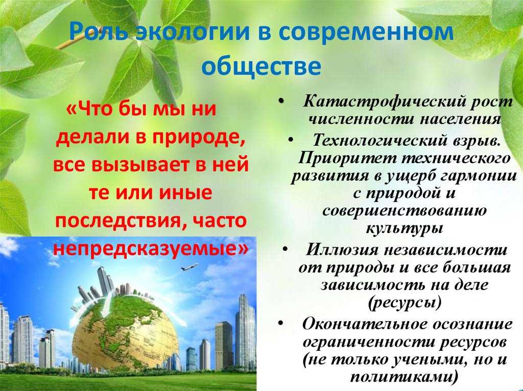 Экология - виды и основные понятия, определение экологии | природная экология