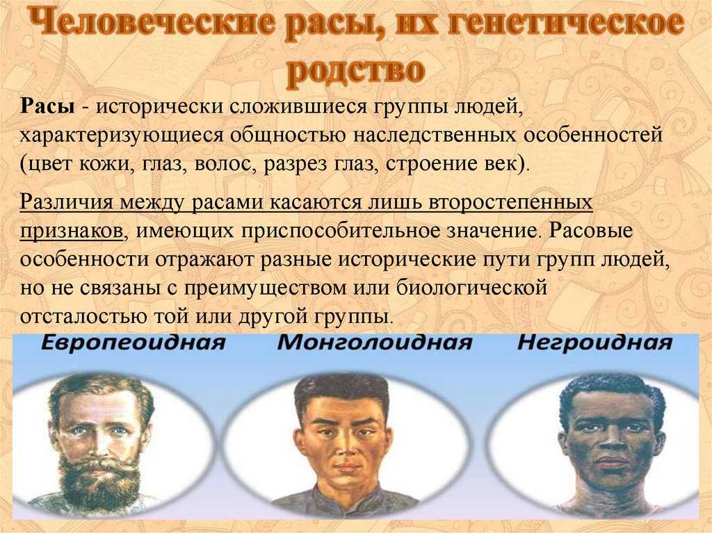 Какое условие указывает на принадлежность всех рас к одному виду