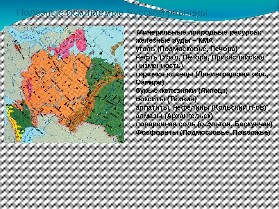 Восточно-европейская равнина