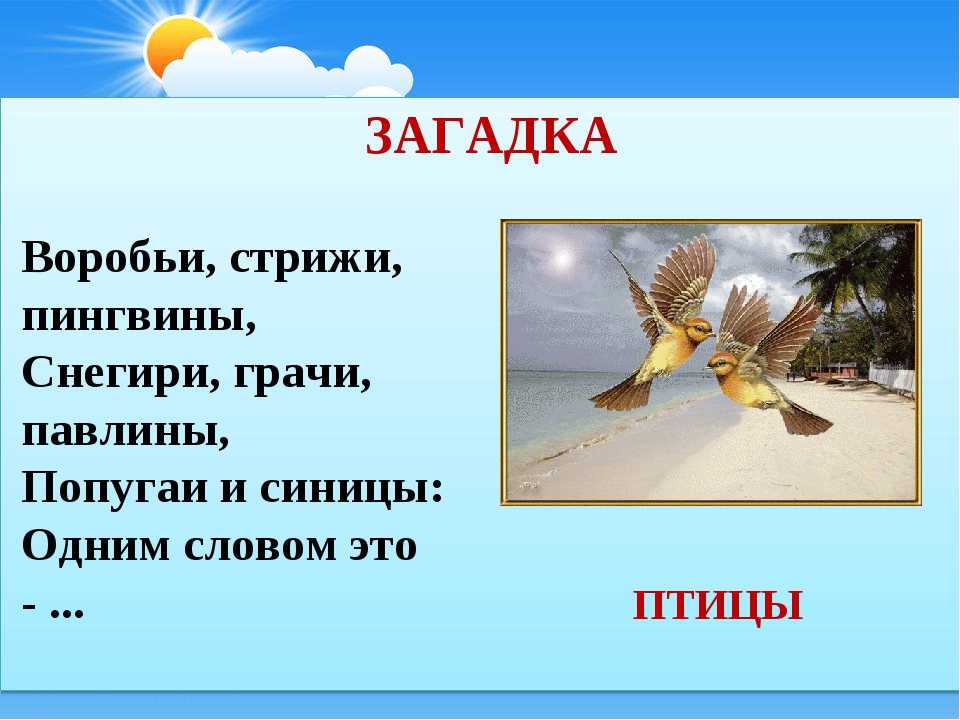 Загадка воробей для детей: загадки про воробья для детей с ответами —  ашаж.рф