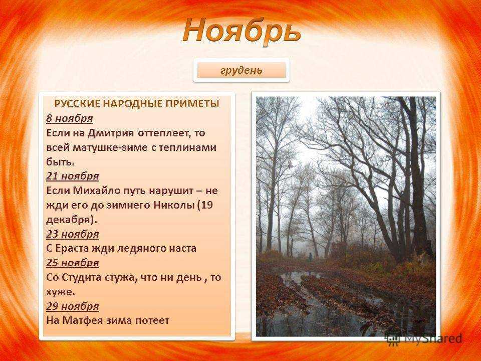 Стихи про ноябрь: красивые стихотворения русских поэтов для детей, взрослых про месяц - рустих