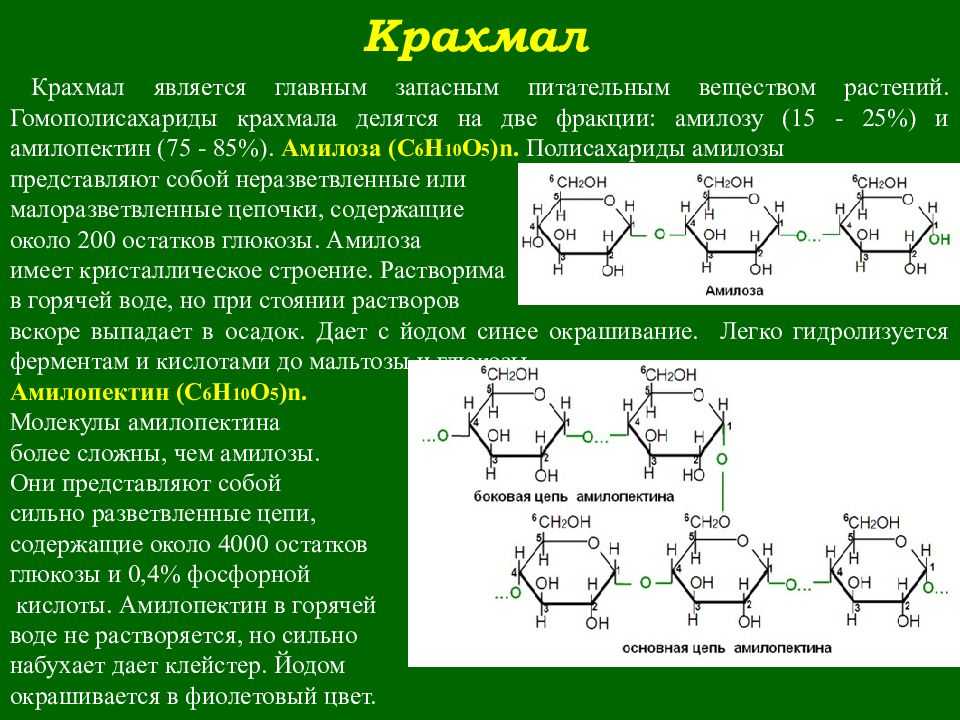 Полисахариды: функции и фармакологические свойства