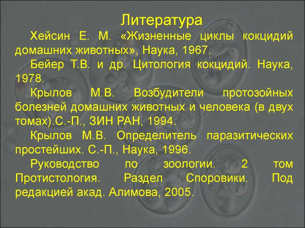Класс кокцидиеобразные - отряд кокцидии - споровики - простейшие