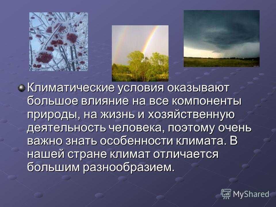 Погода в калуге