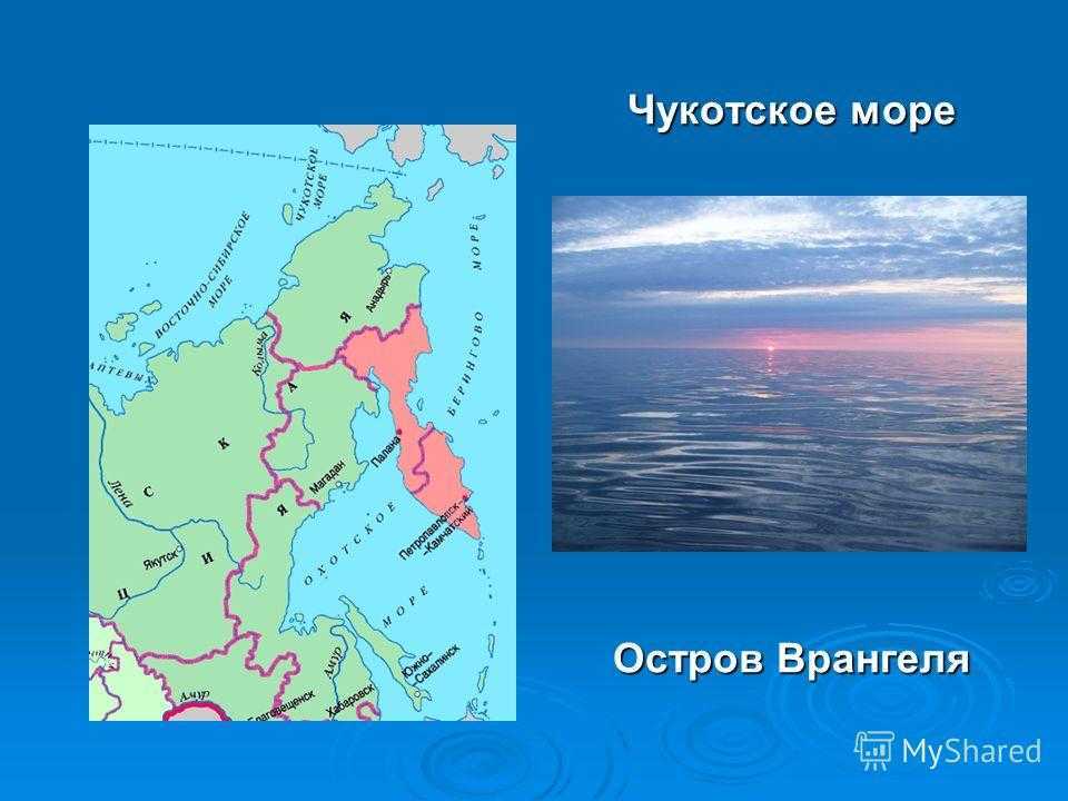 Чукотское море. где находится чукотское море?
