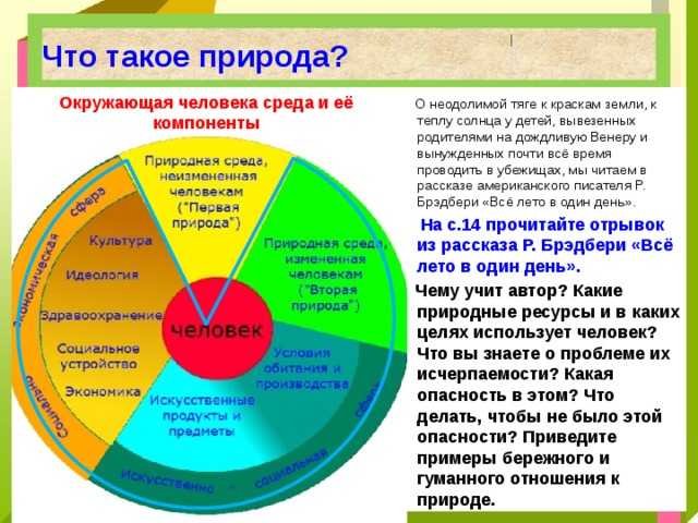 17. окружающая человека среда и ее компоненты. экология