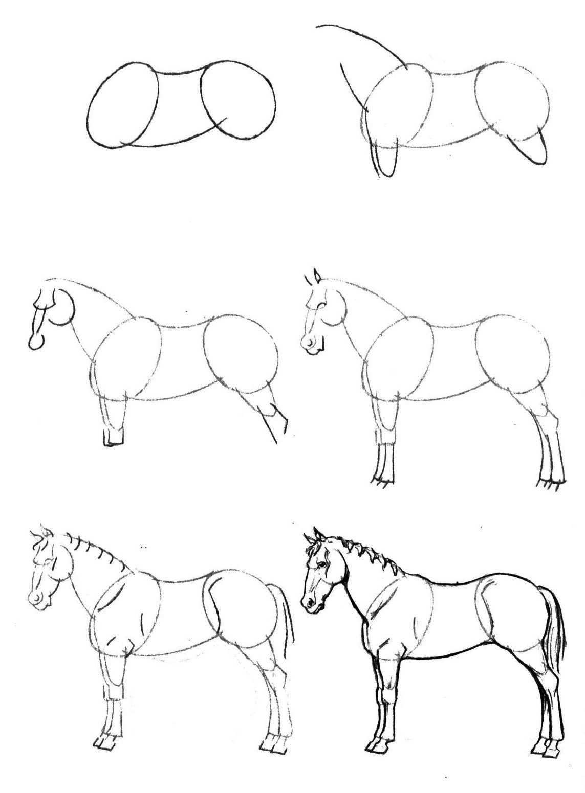 Как нарисовать лошадь поэтапно карандашом (61 фото) - легкие мастер-классы для начинающих