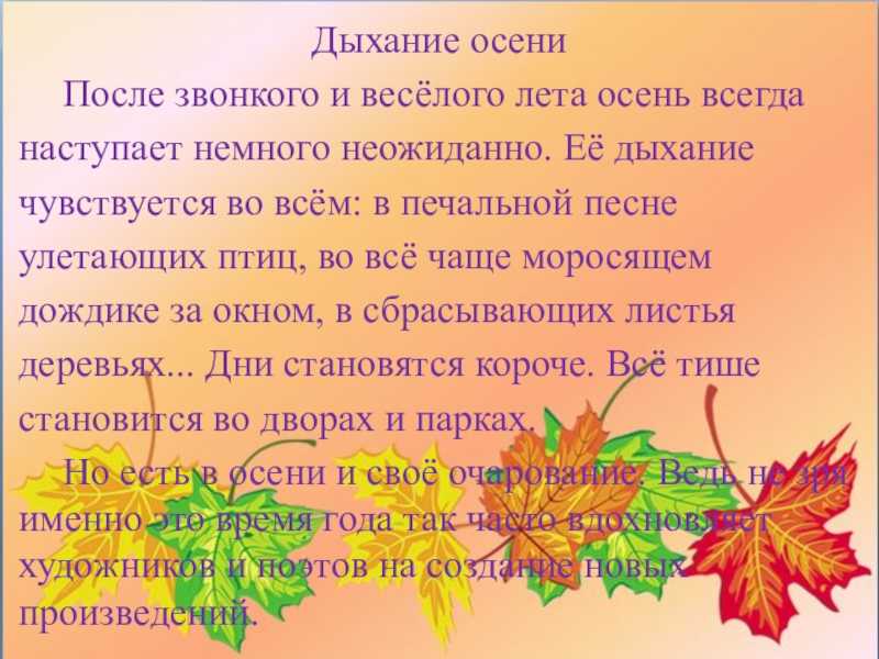 Сочинение на тему: «мой любимый уголок природы» — план и описание