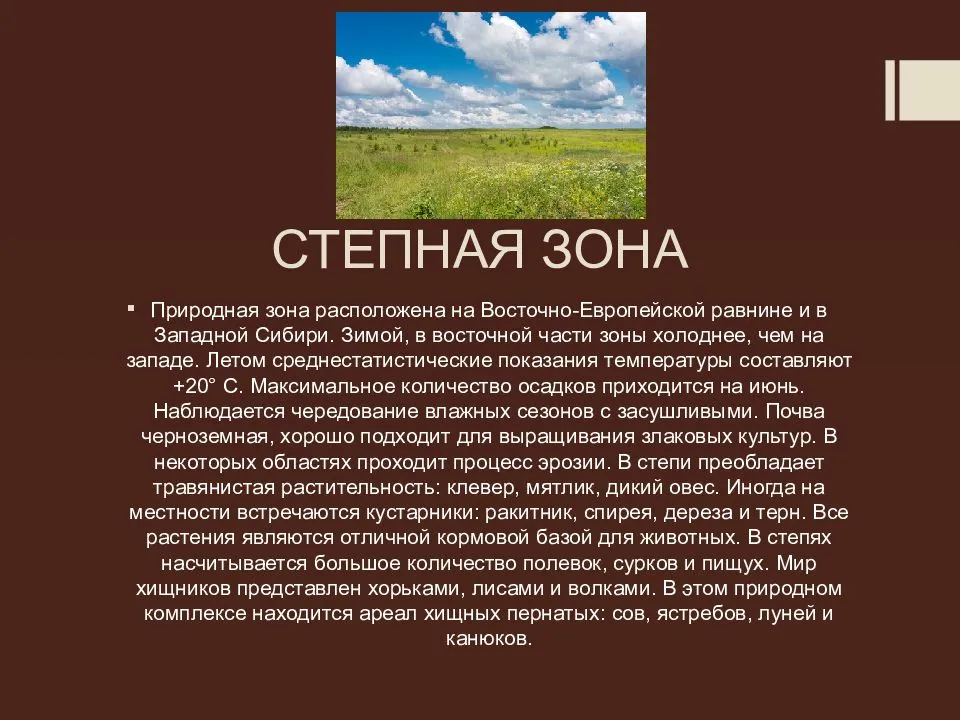 Природные зоны земли (все зоны)