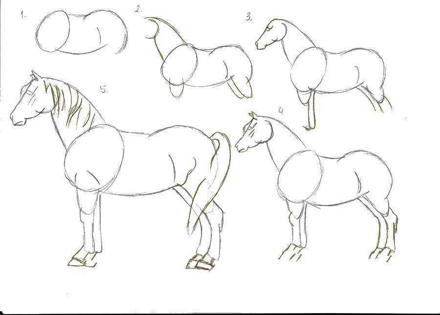 Как нарисовать лошадь - этапы как рисовать своими руками лошадей (130 фото и видео)