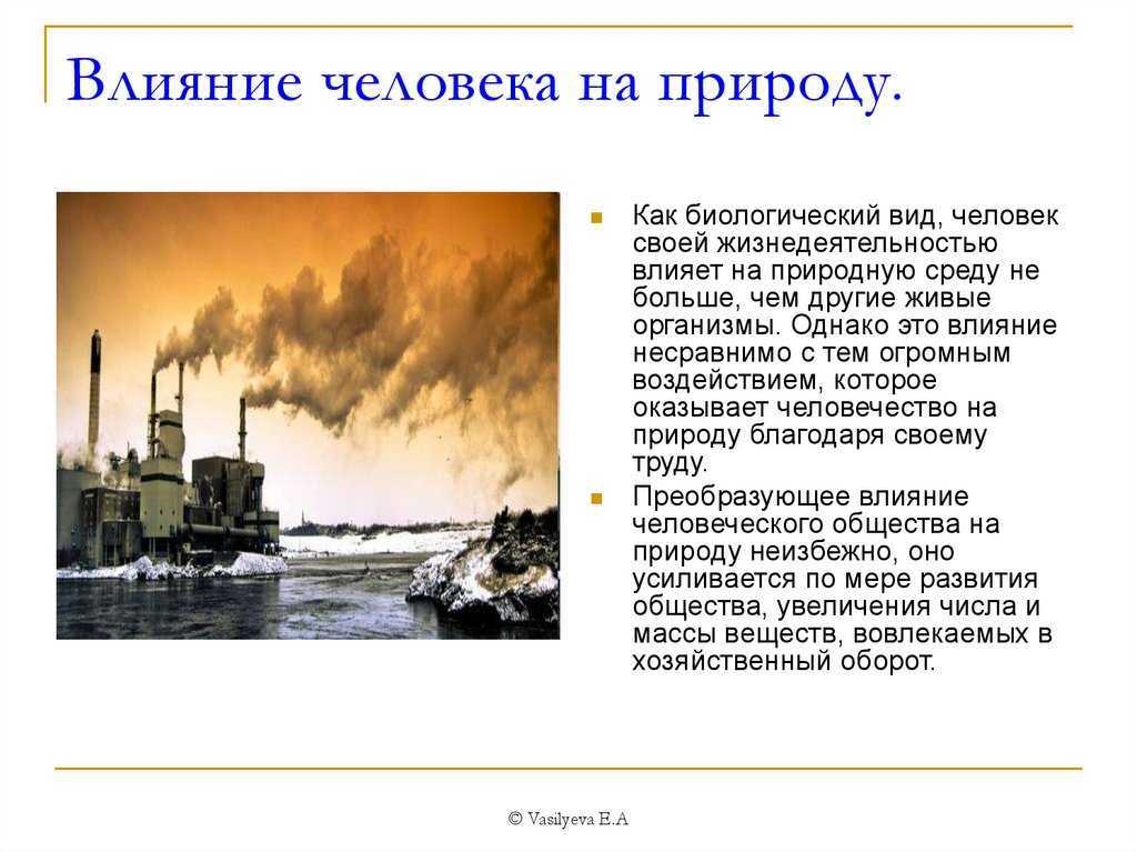«взаимоотношения человека и природы»: 8 сочинений для егэ 2023 года