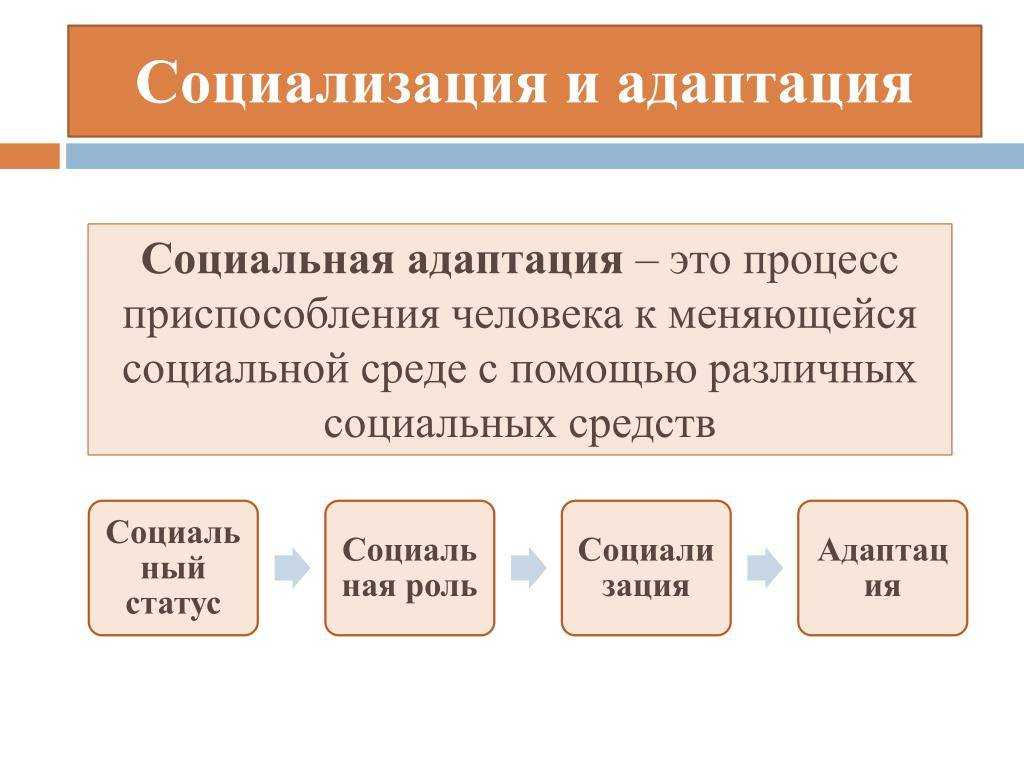 Социальная  адаптация: что это, уровни, средства, процесс, итоги