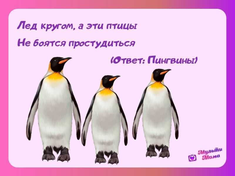 Загадки про птиц для детей с ответами: 235 лучших загадок про домашних, перелетных и зимующих птиц / mama66.ru