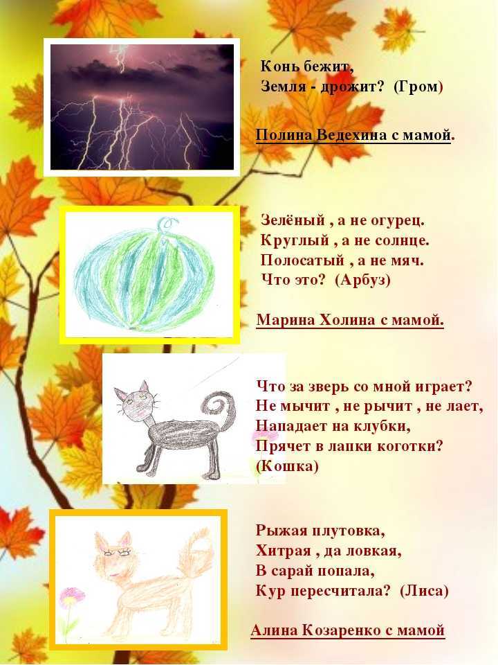 Загадки про лес и его обитателей для детей