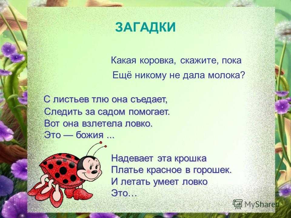 Загадки про деревню. загадки про деревню воду идет красным а из воды черным