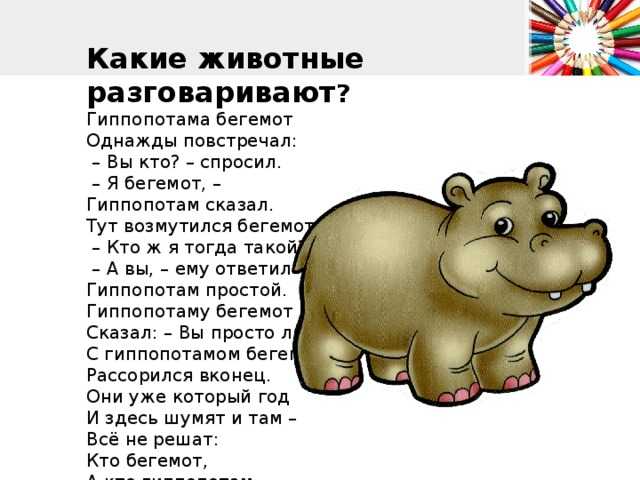 Загадки про животных с ответами для младших школьников