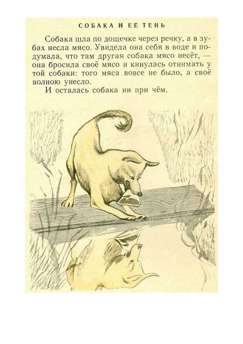 «два товарища» краткое содержание басни толстого – читать пересказ онлайн