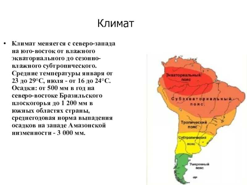 Природные зоны и их основные особенности бразилии 7 класс краткое содержание