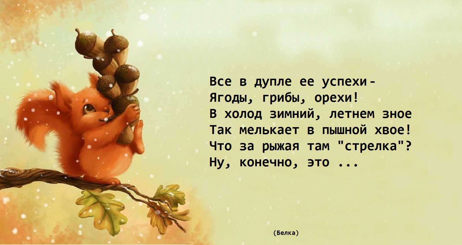 Загадка про белку для детей 4 5