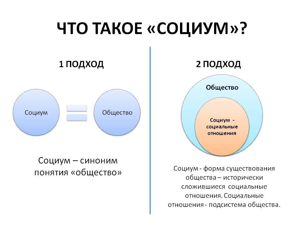 Общество: это что такое, социум, виды, признаки, структура, функции