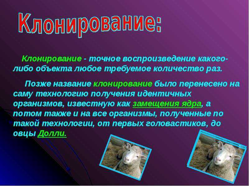 Клонирование животных  доклад, проект
