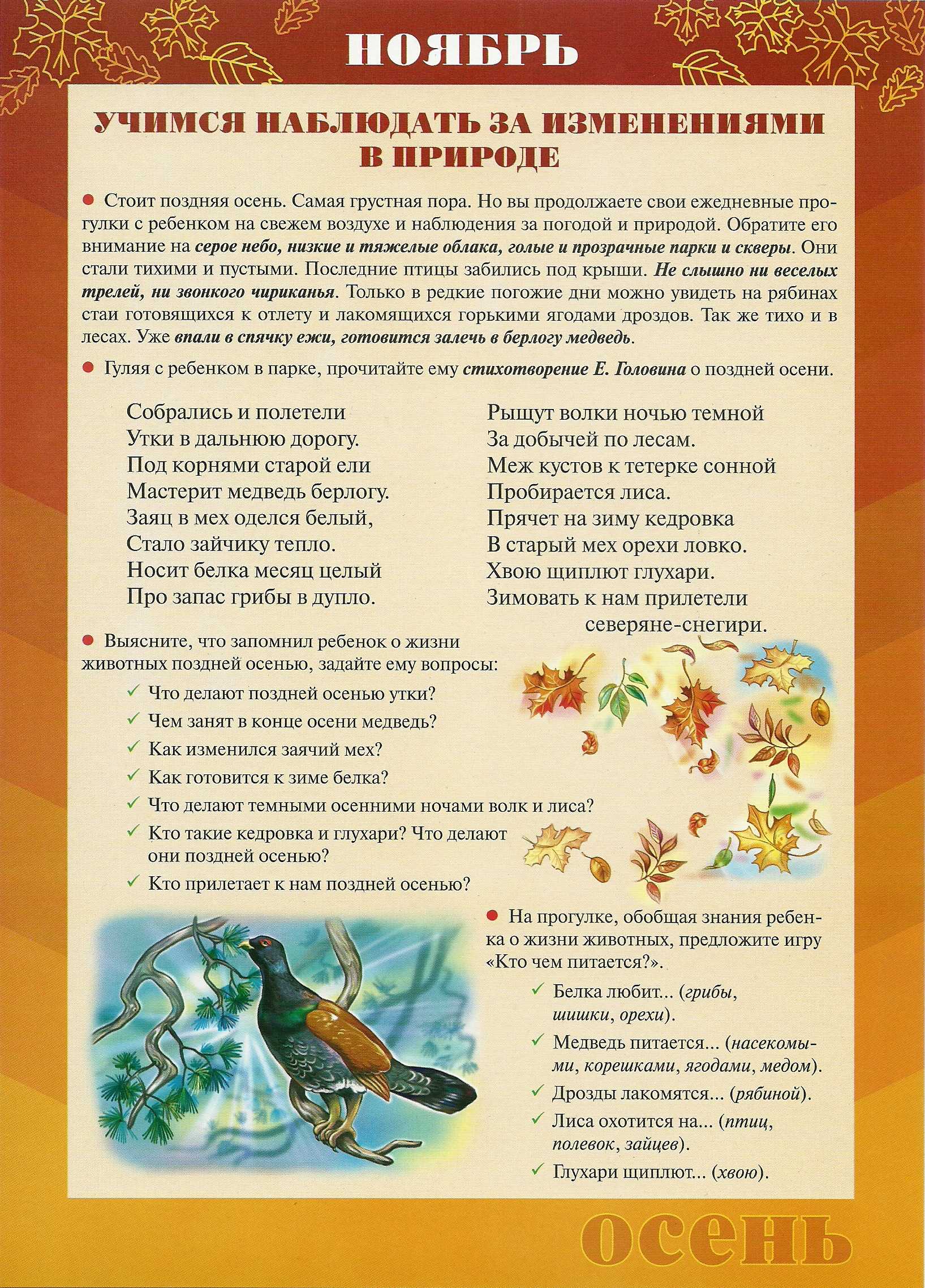 Ах, сколько красок в палитре осенней!  красивые стихи про осень
