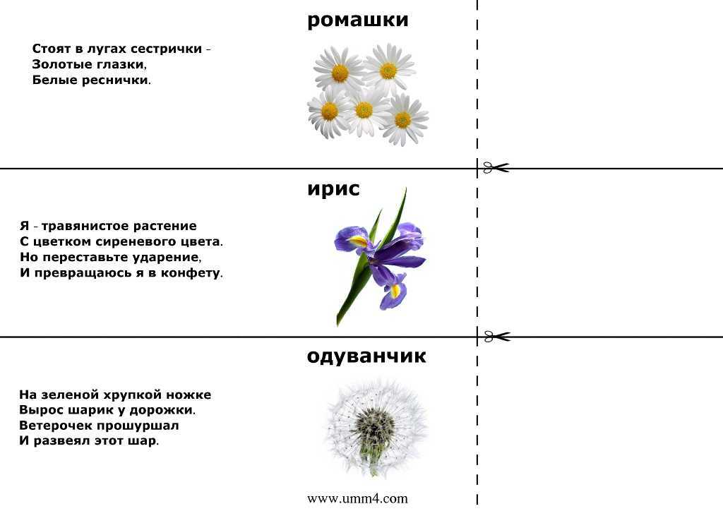 Загадки детям — по возрасту