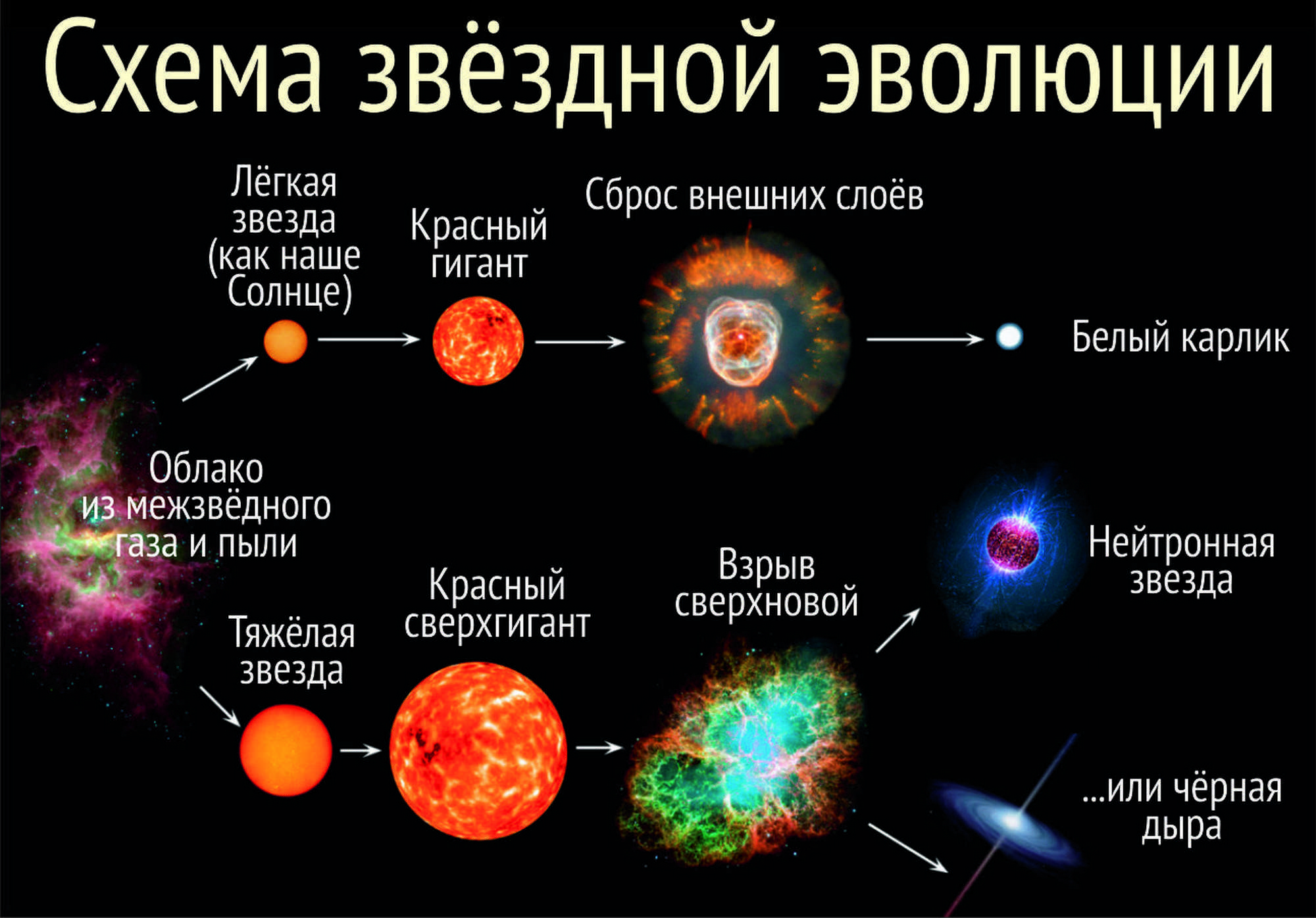 Двойные и кратные звезды 10-11 класс презентация, доклад, проект
